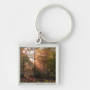 UK. Forest of Dean. Sunbeam penetrating a Key Ring
