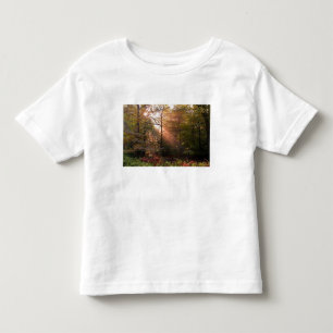 UK. Forest of Dean. Sunbeam penetrating a Toddler T-Shirt