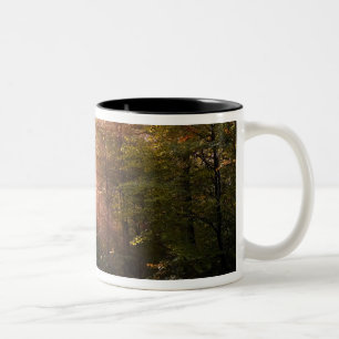 UK. Forest of Dean. Sunbeam penetrating a Two-Tone Coffee Mug