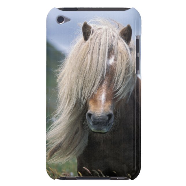 UK, Scotland, Shetland Islands, Shetland pony Barely There iPod Cover (Back)