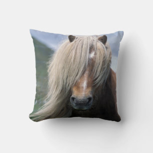 UK, Scotland, Shetland Islands, Shetland pony Cushion