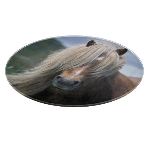 UK, Scotland, Shetland Islands, Shetland pony Cutting Board