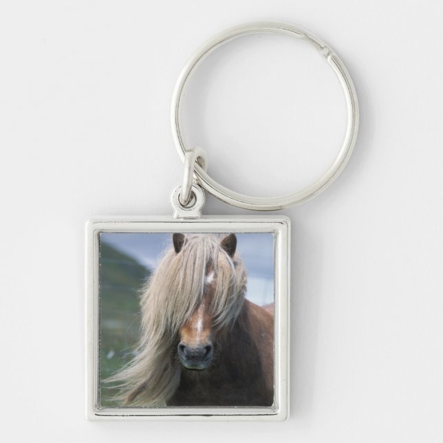 UK, Scotland, Shetland Islands, Shetland pony Key Ring (Front)