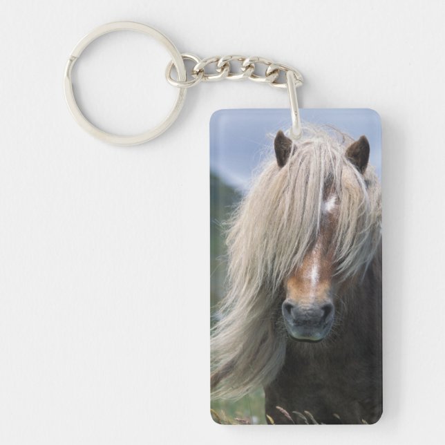 UK, Scotland, Shetland Islands, Shetland pony Key Ring (Front)