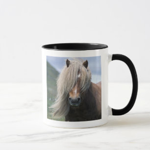 UK, Scotland, Shetland Islands, Shetland pony Mug
