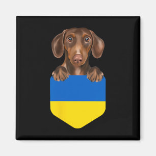 Ukraine Flag Brown Dachshund Dog In Pocket Magnet