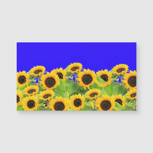 Ukraine Flag Colours Sunflowers Magnet (Front)