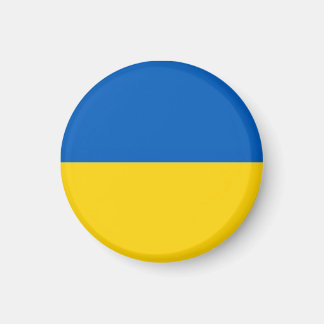 Ukraine Flag Magnet