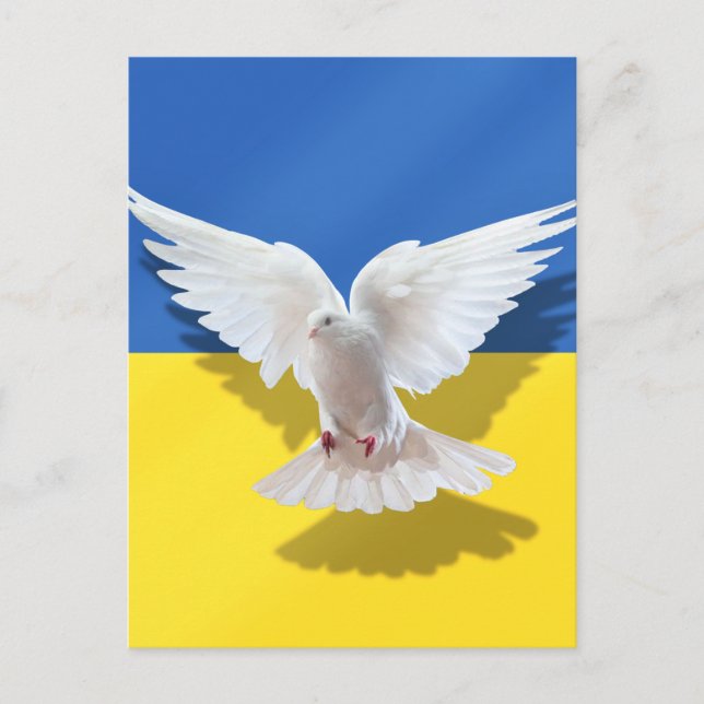 Ukraine Flag Peace Dove Postcard Freedom (Front)