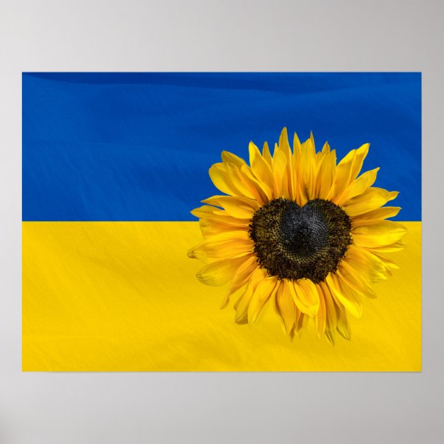 Ukraine Flag With Heart Sunflower Poster (Front)