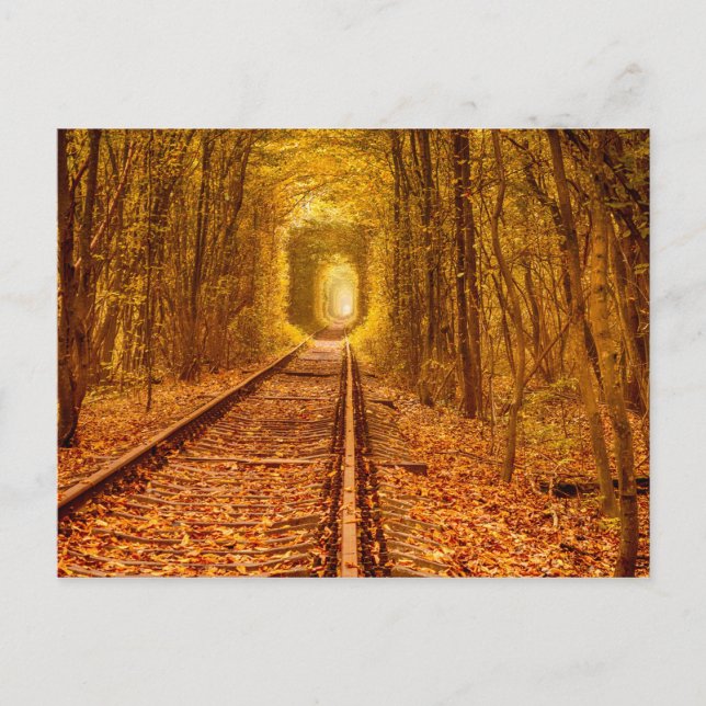 Ukraine Forest Railway Tunnel of Love Landscape Po Postcard (Front)