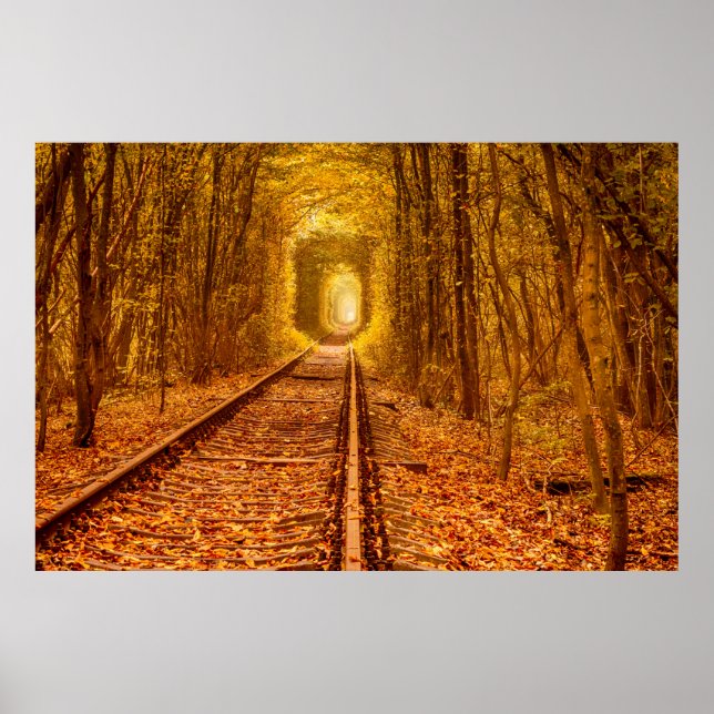 Ukraine Forest Railway Tunnel of Love Landscape Poster (Front)