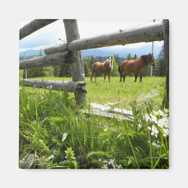 Ukraine: in the Carpathian Mountains Magnet (Front)