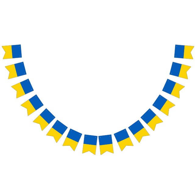 Ukraine National Flag (All)