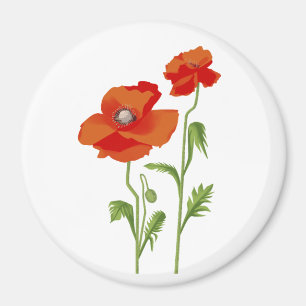 Ukraine "poppy flower" peace colourful  magnet