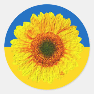 Ukraine Sunflower & Ukrainian Flag / Flower  Classic Round Sticker