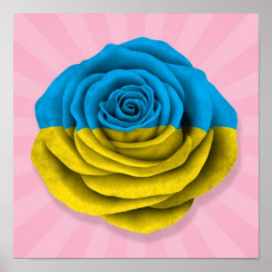 Ukrainian Rose Flag on Pink Poster