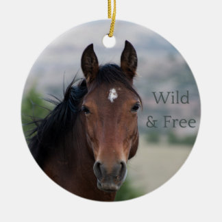 Ula: Pryor Mountain Wild Mustang Ceramic Tree Decoration