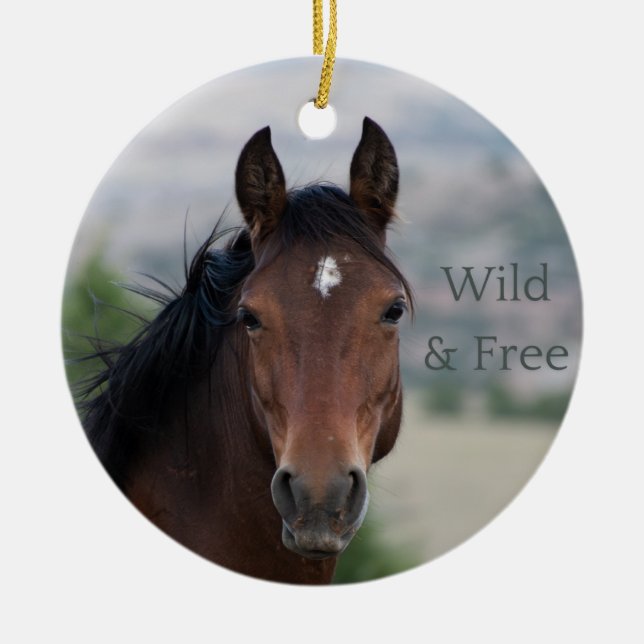 Ula: Pryor Mountain Wild Mustang Ceramic Tree Decoration (Front)