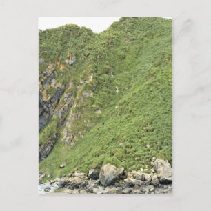 Ulak Island Postcard