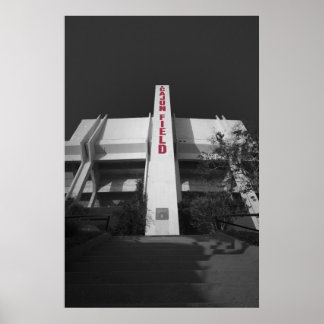 ULL Cajun Field Stadium Poster