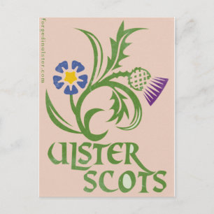 Ulster-Scots flax & thistle design. Postcard