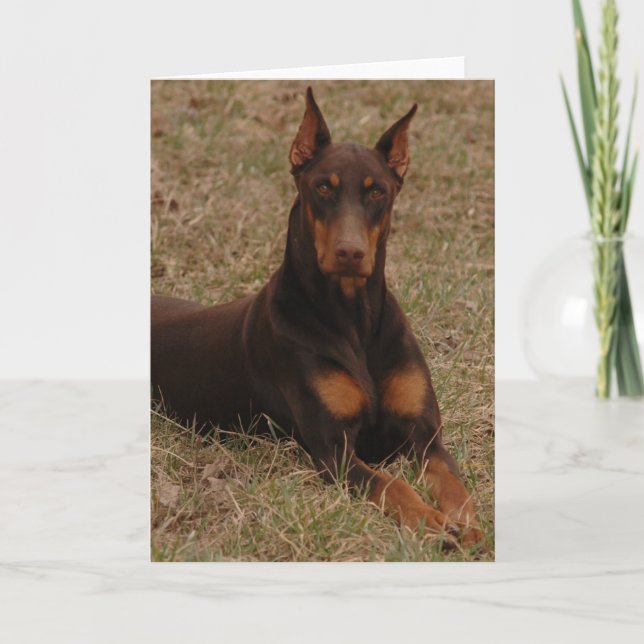 Ultimate Guard dog Card (Front)