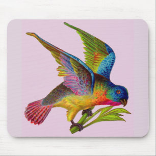 ultra colourful Victorian bird Mouse Mat