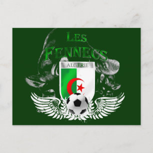 Ultra Cool Les Fennecs Algerie Postcards