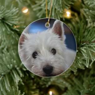 Ultra Cute Pestie Westie Terrier Ceramic Tree Decoration