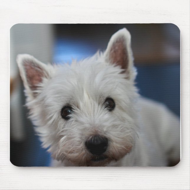 Ultra Cute Pestie Westie White Terrier Mouse Mat (Front)