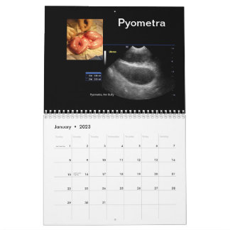Ultrasound Images Calendar