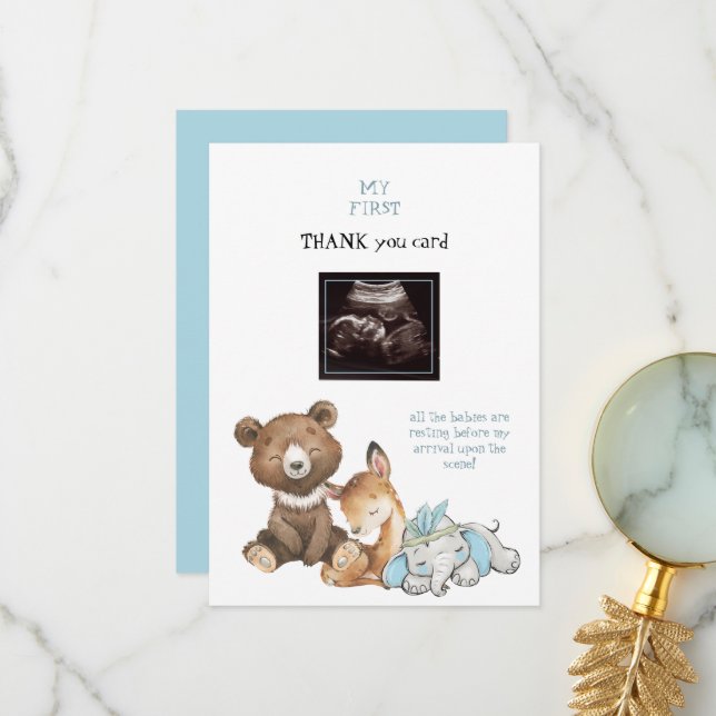 Ultrasound Photo Animal Funny Thank You Baby (Front/Back In Situ)
