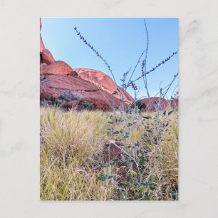 Uluru Northern Territory Postcard