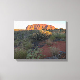 Uluru Sunrise and Desert Flora Canvas Print