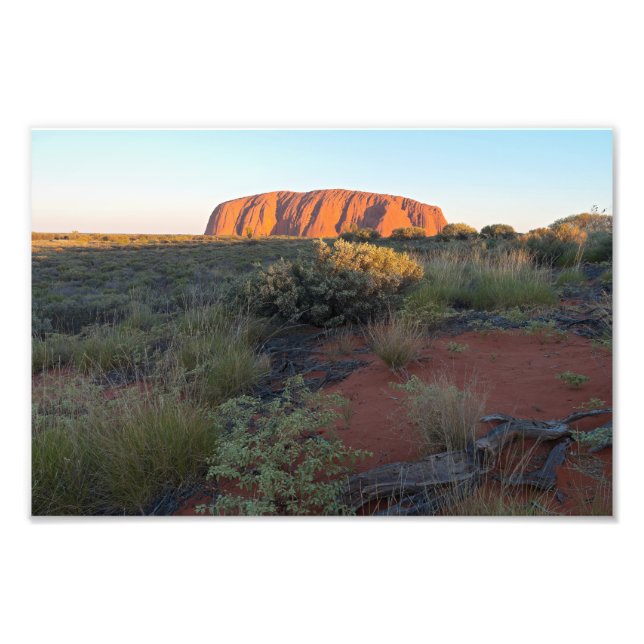 Uluru Sunrise and Desert Flora Photo Print (Front)