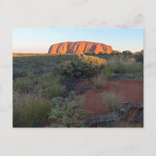 Uluru Sunrise and Desert Flora Postcard