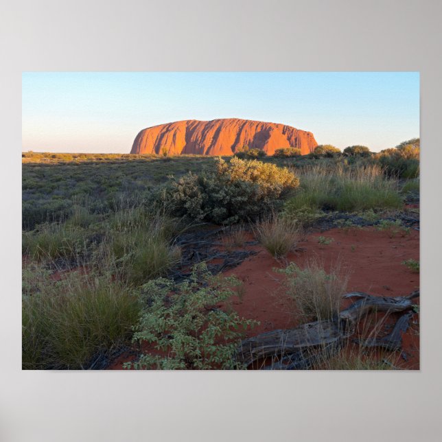 Uluru Sunrise and Desert Flora Poster (Front)