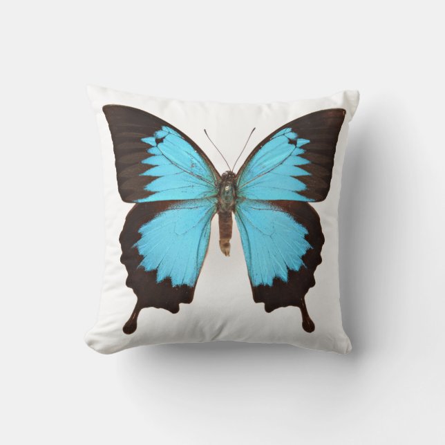 Ulysses Butterfly Cushion (Front)