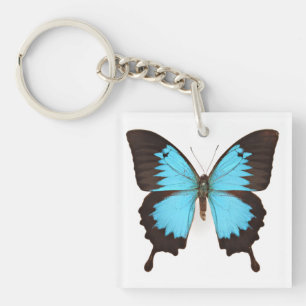 Ulysses Butterfly Key Ring