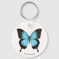 Ulysses Butterfly