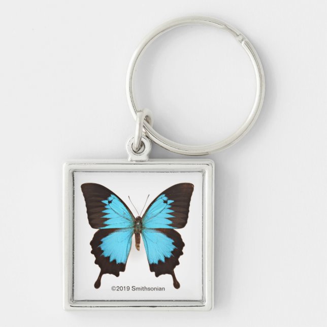 Ulysses Butterfly Key Ring (Front)