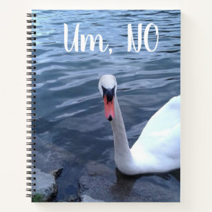Um, No Funny Swan Notebook