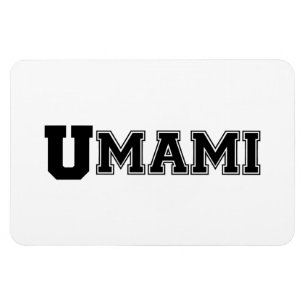 UMAMI COLLEGE MAGNET