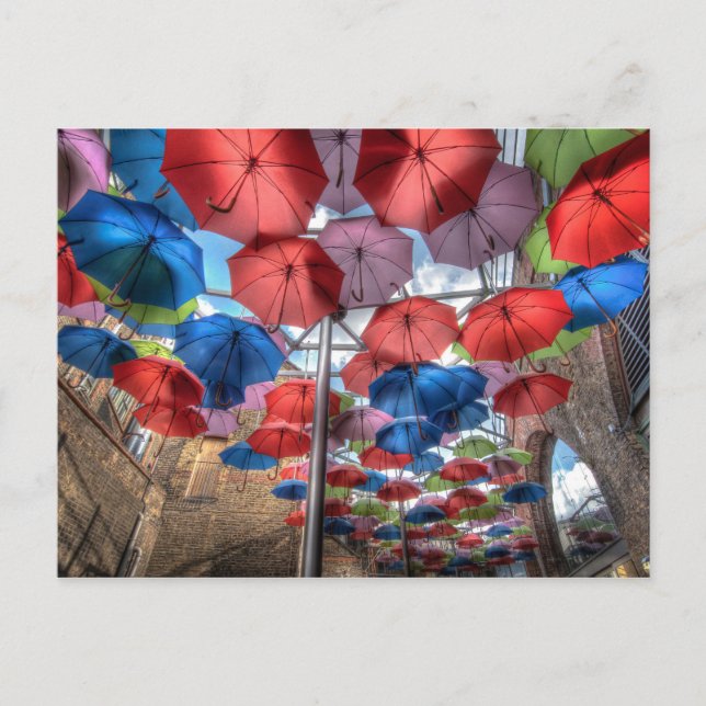 Umbrella Art, Borough Market, London Postcard (Front)