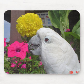 Umbrella Cockatoo Mousepad