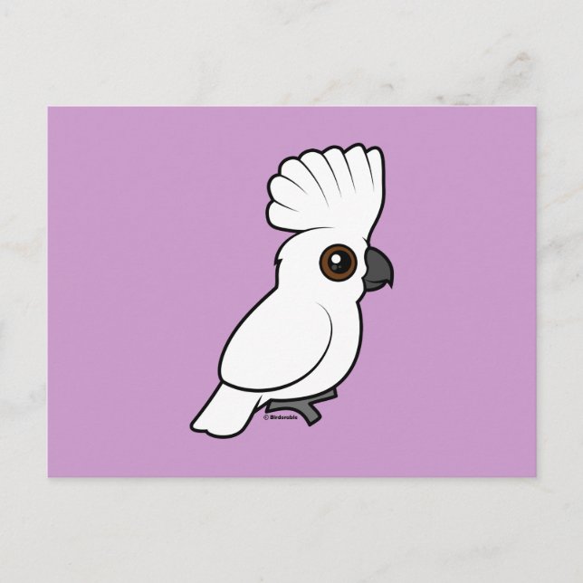 Umbrella Cockatoo (raised) Postcard (Front)