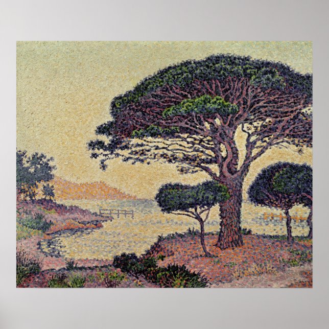 Umbrella Pines at Caroubiers, 1898 Poster (Front)