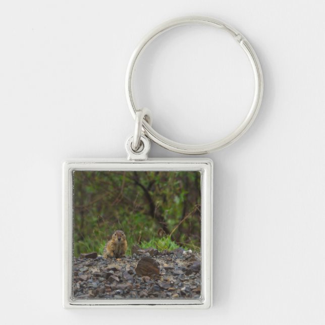 Umbrella Please Key Ring (Front)