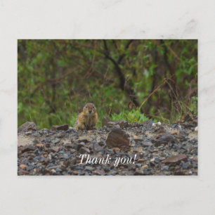 Umbrella Please Postcard